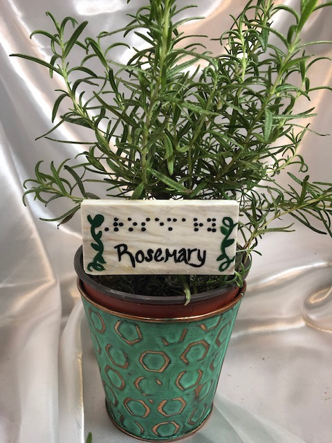 Rosemary Herb Planter stake with raised dot braille and script