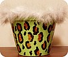 Green Envy Diva- 6"