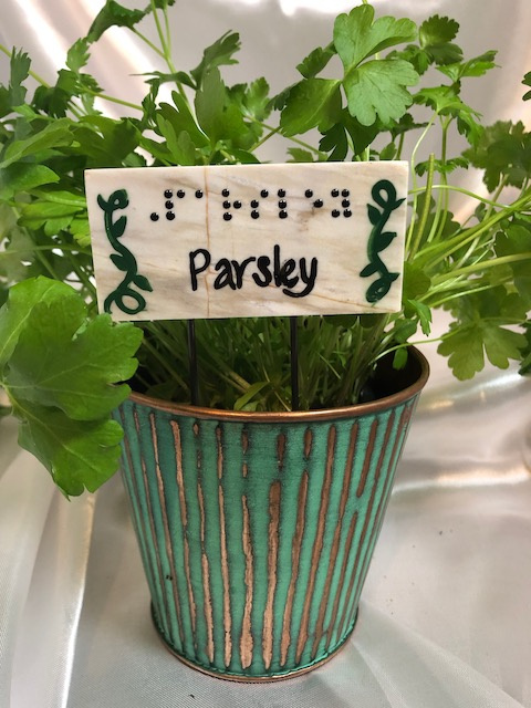 Parsley Herb Planter stake 